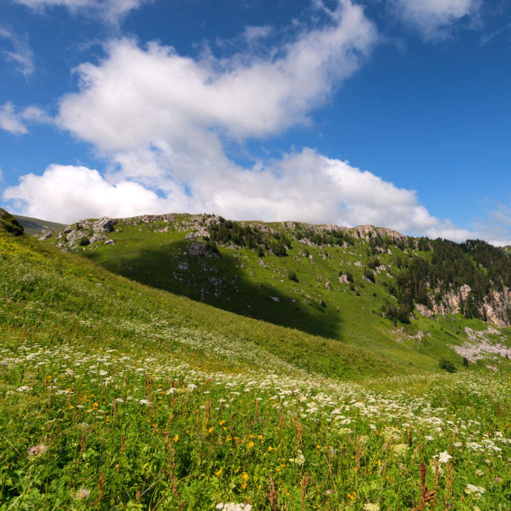 Стара планина